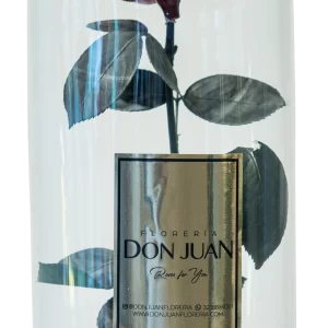 ROSA ETERNA Preservada Premium